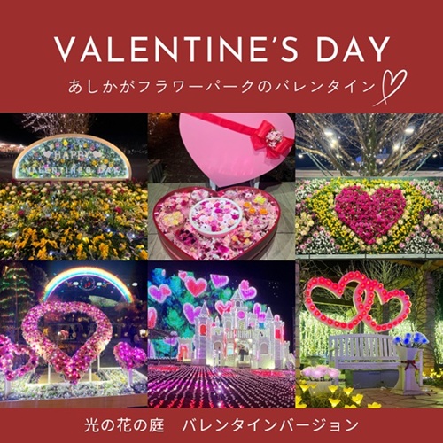 花の状況 | パーク便り | あしかがフラワーパーク